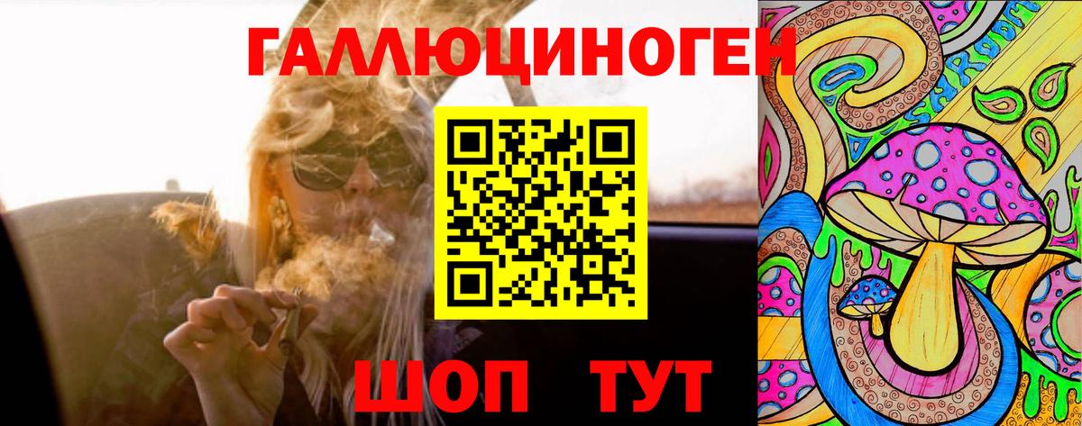 Галлюциногенные грибы Cubensis  Вход с VPN  Кингисепп 